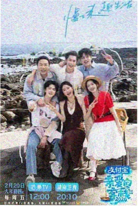 综艺晚风档案室标本卡封面