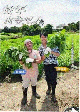 综艺抽屉图鉴配图